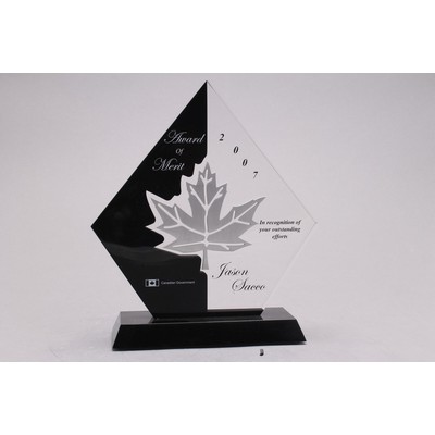 Tandem 8 Award (6"x6 11/16"x2")